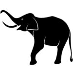 Elephant5